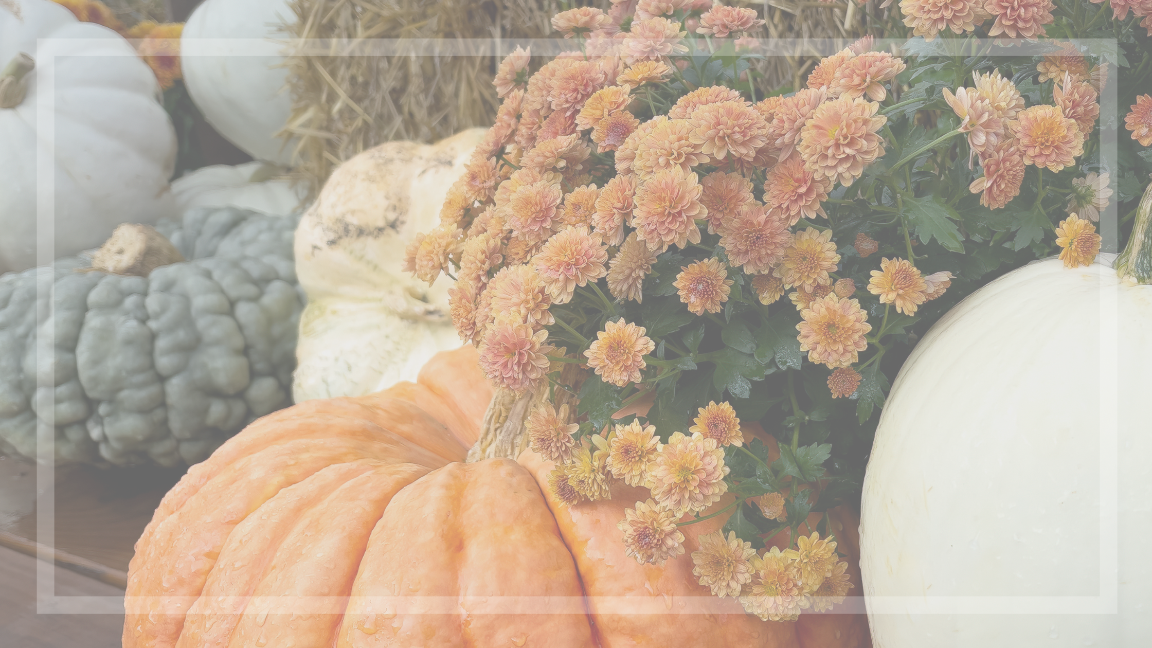 You are currently viewing Let’s Fall into Fall!